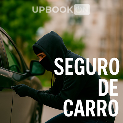 Seguro de Carro Roubo e Furto